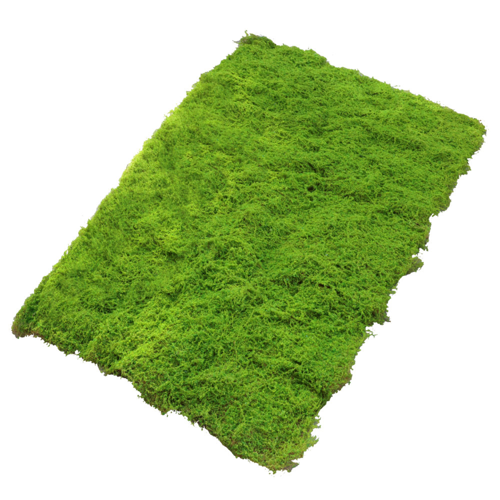 Preserved Moss Sheet - Alas Rumput Sintetis Berbentuk Lumut Buatan,