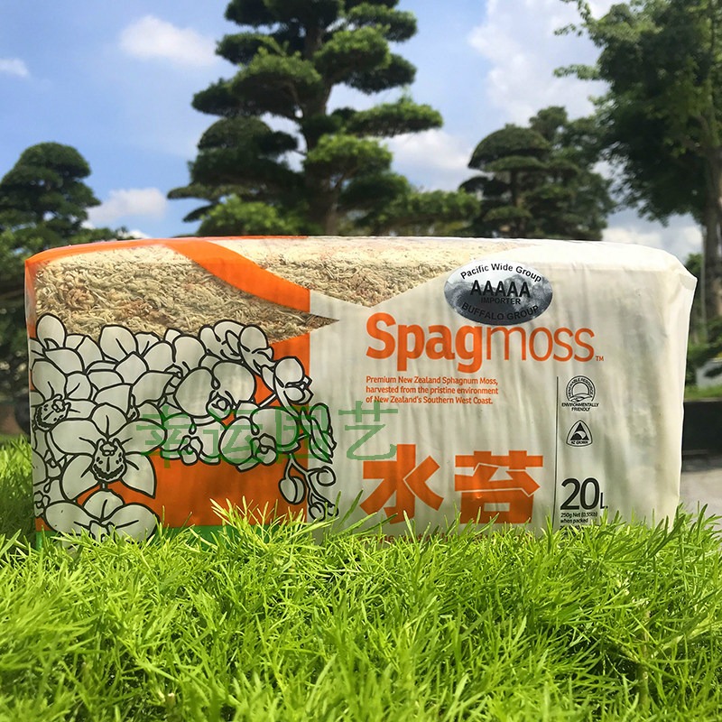 Lumut Sphagnum 5A Selandia Bar - Preserved Moss Sheet ulasan dan harga