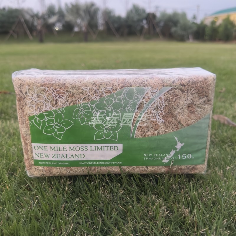 Lumut Sphagnum 5A Selandia Bar - Preserved Moss Sheet ulasan dan harga