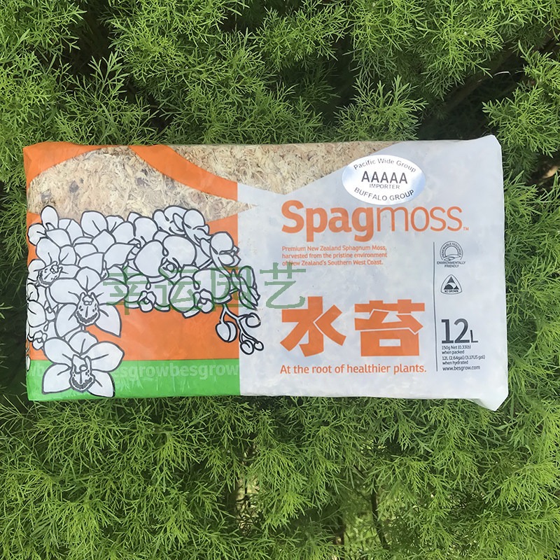 Lumut Sphagnum 5A Selandia Bar - Preserved Moss Sheet ulasan dan harga