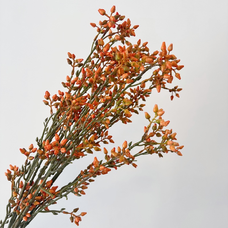 Buah Zaitun Hijau Eucalyptus B - Florist Supply Vases ulasan dan harga