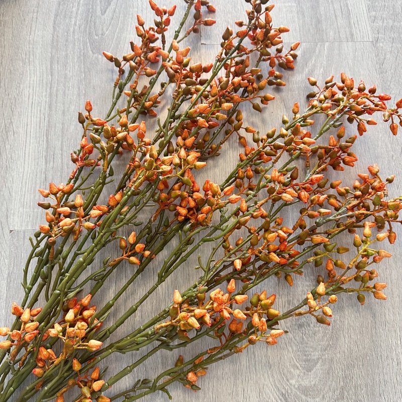 Buah Zaitun Hijau Eucalyptus B - Florist Supply Vases ulasan dan harga