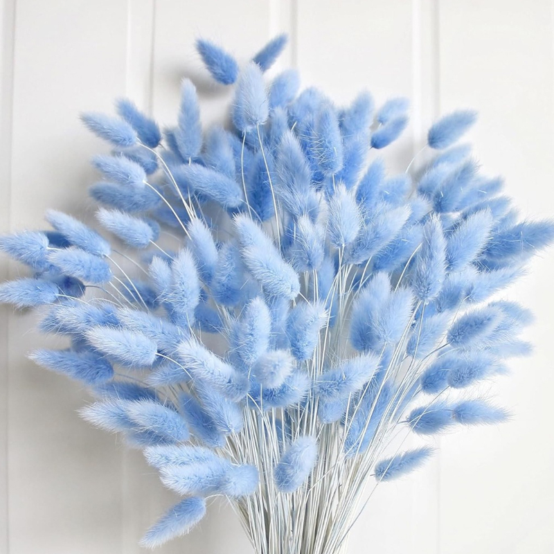 100 Buah Ekor Kelinci Biru Rum - Florist Supply Vases ulasan dan harga